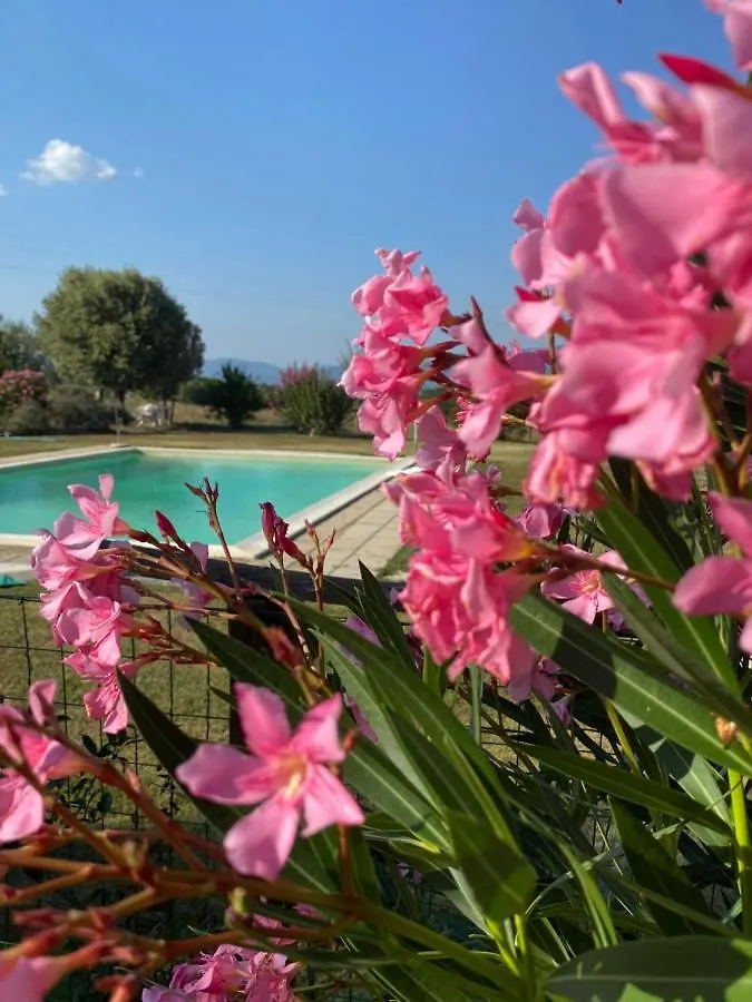 Agriturismo Agro Centorio Apartment Cortona