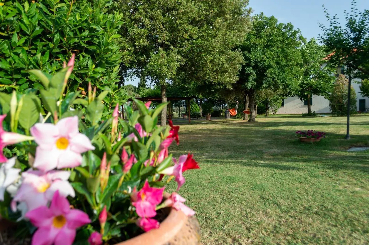 Agriturismo Agro Centorio Apartment Cortona